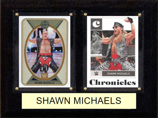 WWE Shawn Michaels D-Generation X HBK Panini Topps 2 Card Plaque 6x8